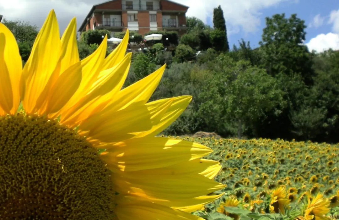 Hotel Sangallo B&B - Panoramic Position - Valley And Vineyard View- Family Run-1